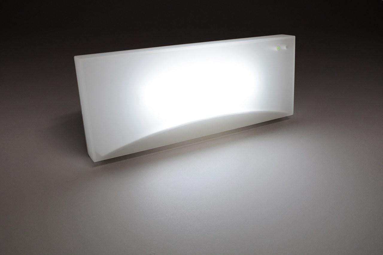 LUZNOR - Aplique emergencia G BASIC LED 1,5W 100lm 1h IP44 no permanente difusor transparente