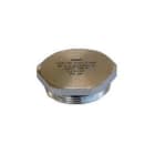 GAESTOPAS - Tapón ciego EX latón Pg13,5 níquel