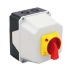 GAVE - INTERRUPTOR 4P.63A. EN CAJA IP65