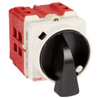 GAVE - INTERRUPTOR 4P.63A.D2 BLOQUEO CANDADO NEGRO/GRIS