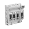 Uña del pulgar Imagen del producto 1
