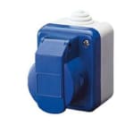 GEWISS - Base industrial de pared a norma IEC 309 2P+T 220V gris RAL7035 IP44