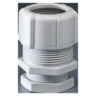 GEWISS - Racor tubo-caja en polímero antichoque con diámetro de 54mm para tubo de 50mm gris RAL7035 IP66