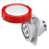 Uña del pulgar Imagen del producto 1
