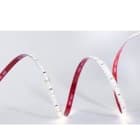 TSL - Tira flexible DRAC 8 SMD2835 140Led/m 8,5W/m 24VDC 6.000K IP65/H 1.300lm/m CRI>80 10mm