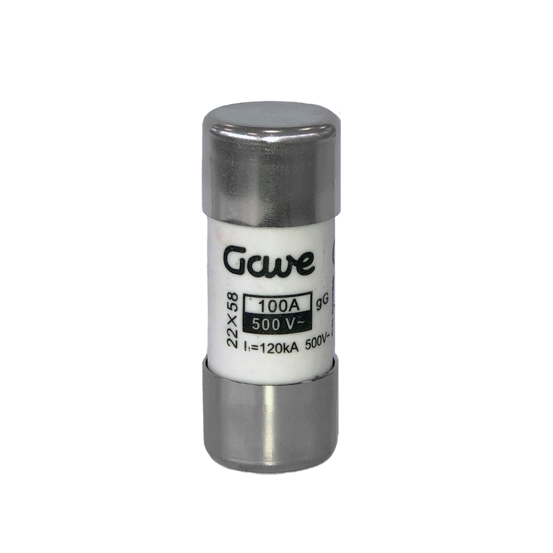 GAVE - FUSIBLE CILINDRICO  100A.GG T2