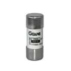 GAVE - FUSIBLE CILINDRICO  100A.GG T2