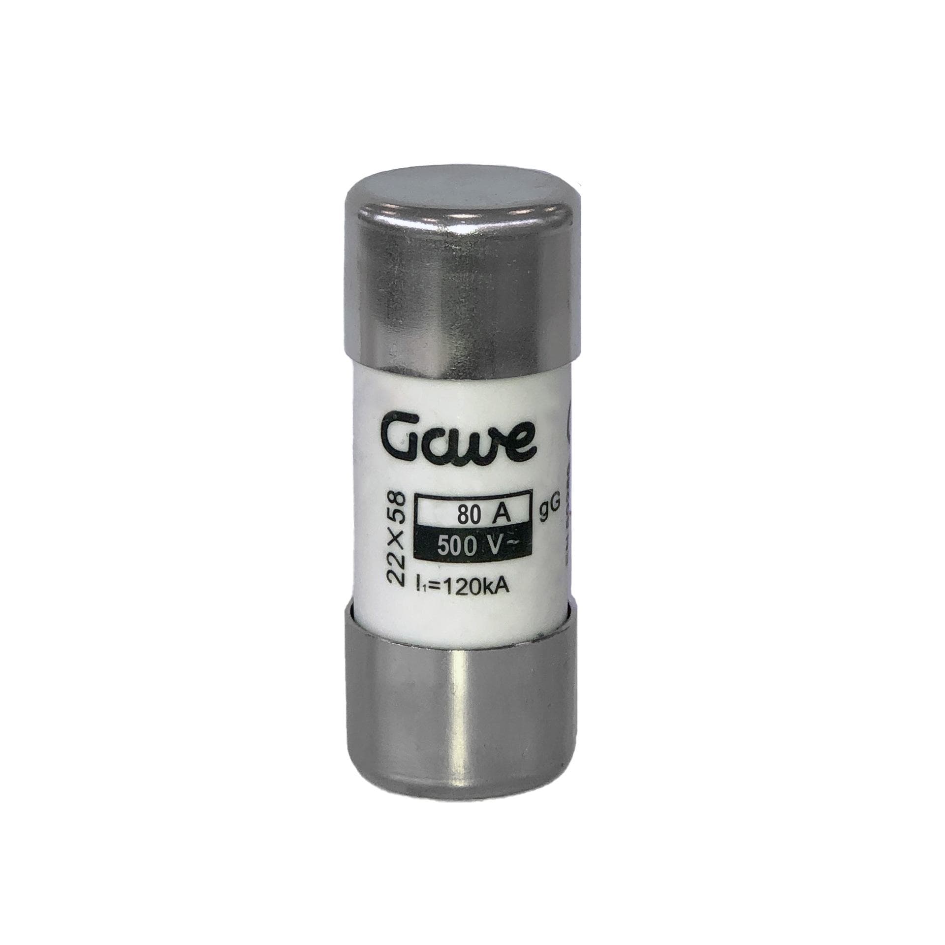 GAVE - FUSIBLE CILINDRICO   80A.GG T2