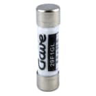 GAVE - FUSIBLE CILINDRICO  1A. GG T00