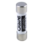 GAVE - FUSIBLE CILINDRICO  25A. GG T00