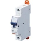 GEWISS - Interruptor magnetotérmico MT60 1P 6A curva C 1 módulo