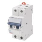GEWISS - Interruptor magnetotérmico MT6 2P C10 6000A/6kA con 2 módulos