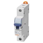 GEWISS - Interruptor magnetotérmico MT60 1P 50A curva B 1 módulo