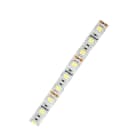GTLED - TIRA SEMIPROTEG.LED 300x5050 BL.FRIO.5m