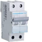 HAGER - Interruptor automático 2P 40A curva-C 6kA