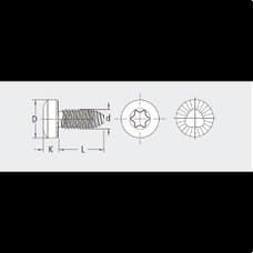 APOLO - FASTITE®2000¿ ALOMADA TORX® REF. FT85T 6X12 ZINC C
