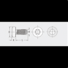 APOLO - FASTITE®2000¿ ALOMADA TORX® REF. FT85T 6X12 ZINC C