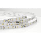 ILUTREK - Tira LED CASSINO tensión constante IP20 7.2W/M 24V, 72LEDS/M 3000K (1m)