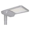 Uña del pulgar Imagen del producto 1