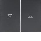 HAGER - Tecla doble con flecha impreso K1 antracita