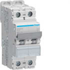 HAGER - Interruptor magnético bipolar 40A curva-C