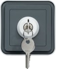 HAGER - Interruptor estanca con llave 3 posiciones superficie gris