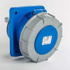 Uña del pulgar Imagen del producto 1