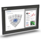 OMRON - Monitor industrial con pantalla táctil capacitiva de 18,5", montaje integrado, puerto DVI-D