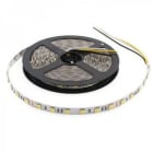 BLUELED - Tira flexible 2216 24V 19,2W blanco DUAL CCT 2700K 6000K  IP20 CRI>93 280 LEDS/m