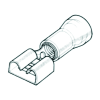 Uña del pulgar Imagen del producto 1