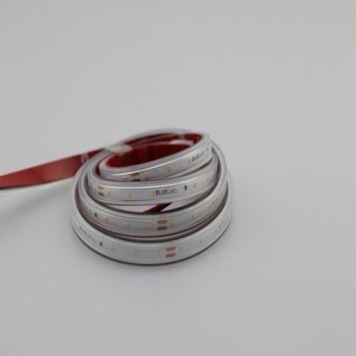 BLUELED - Tira flexible 2216 24V 4,8W 2700K IP67 CRI>93 (rollo 5m)