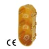 Uña del pulgar Imagen del producto 1