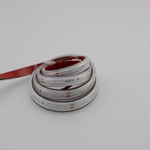 BLUELED - Tira flexible 2216 24V 4,8W 3000K IP67 CRI>93 (rollo 5m)