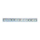 NEXIA - Tira IP67 6LED 5cm blanco/blanco cálida 5m