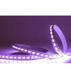 TSL - Tira flexible GAMA 6 SMD2835/2216 240Led/m 19,2W/m 24VDC RGBW IP20/N 900lm/m 12mm (rollo 5m)