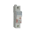 LEGRAND - Cortacircuito seccionable - 1P - cartucho fusible cilíndrico 10x38 - 500 V~