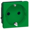 Uña del pulgar Imagen del producto 1