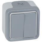 LEGRAND - Conmutador doble Plexo monobloc de superficie gris - 10AX