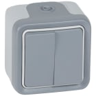 LEGRAND - Doble pulsador Plexo monobloc de superficie gris - 10 A