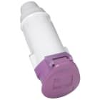 LEGRAND - Base aérea P17, 16A, 20/25V~, 2P, IP44, IK09. MTB Morado