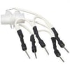Uña del pulgar Imagen del producto 1
