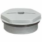 LEGRAND - Tapón de plástico - IP68 - para PE ISO 25 - RAL 7001
