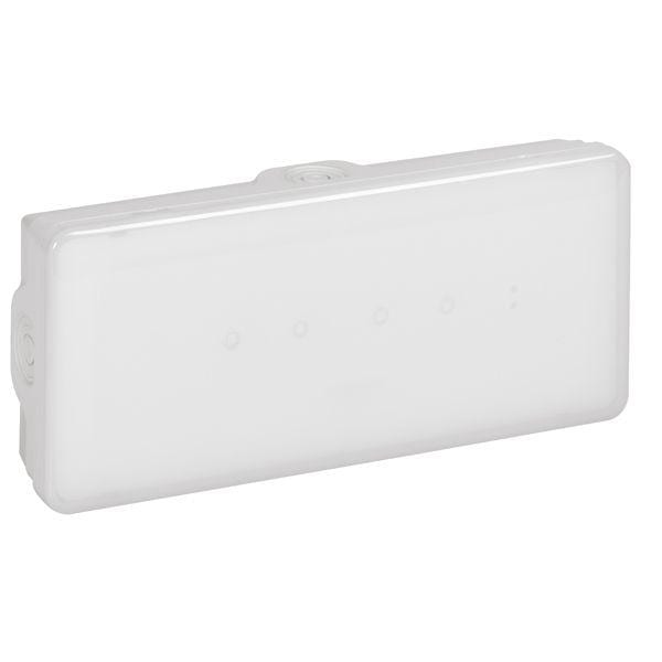 LEGRAND - Luminaria de emergencia B65LED - 100 lúmenes - 1h - IP65 - Permanente/No Permanente