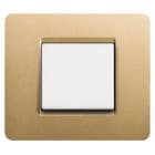 BTICINO - Placa embellecedora Màtix de color Oro - 2 módulos