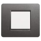 BTICINO - Placa embellecedora Màtix de color Acero - 2 módulos