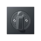 JUNG - Placa para interruptor giratorio temporizador persianas antracita mate