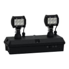 Schneider Electric - Emergency luminaire, Exiway Smartduo, Activa, non maintained, 1 h, 2 x 1200 lm