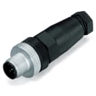 WAGO - CONECTOR M12 M 4P RECTO