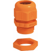 Uña del pulgar Imagen del producto 1