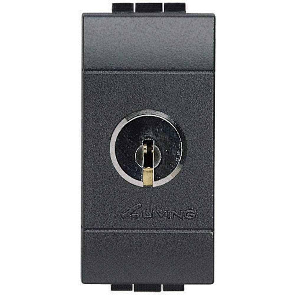 BTICINO - Interruptor bipolar con llave Livinglight - llaves diferentes - 1 módulo - Antracita